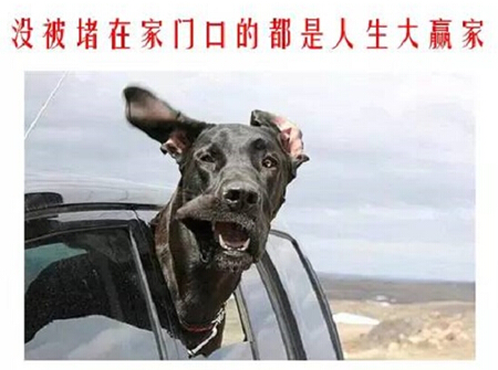 HDI板廠